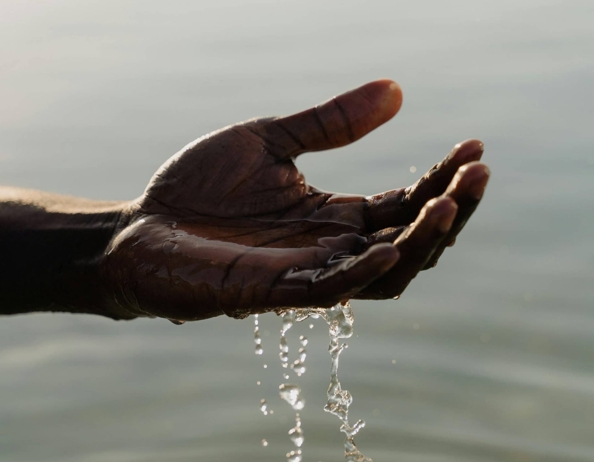 The Environmental Impact of Bad Email Data - Why Clean Email Lists Matter for the Planet